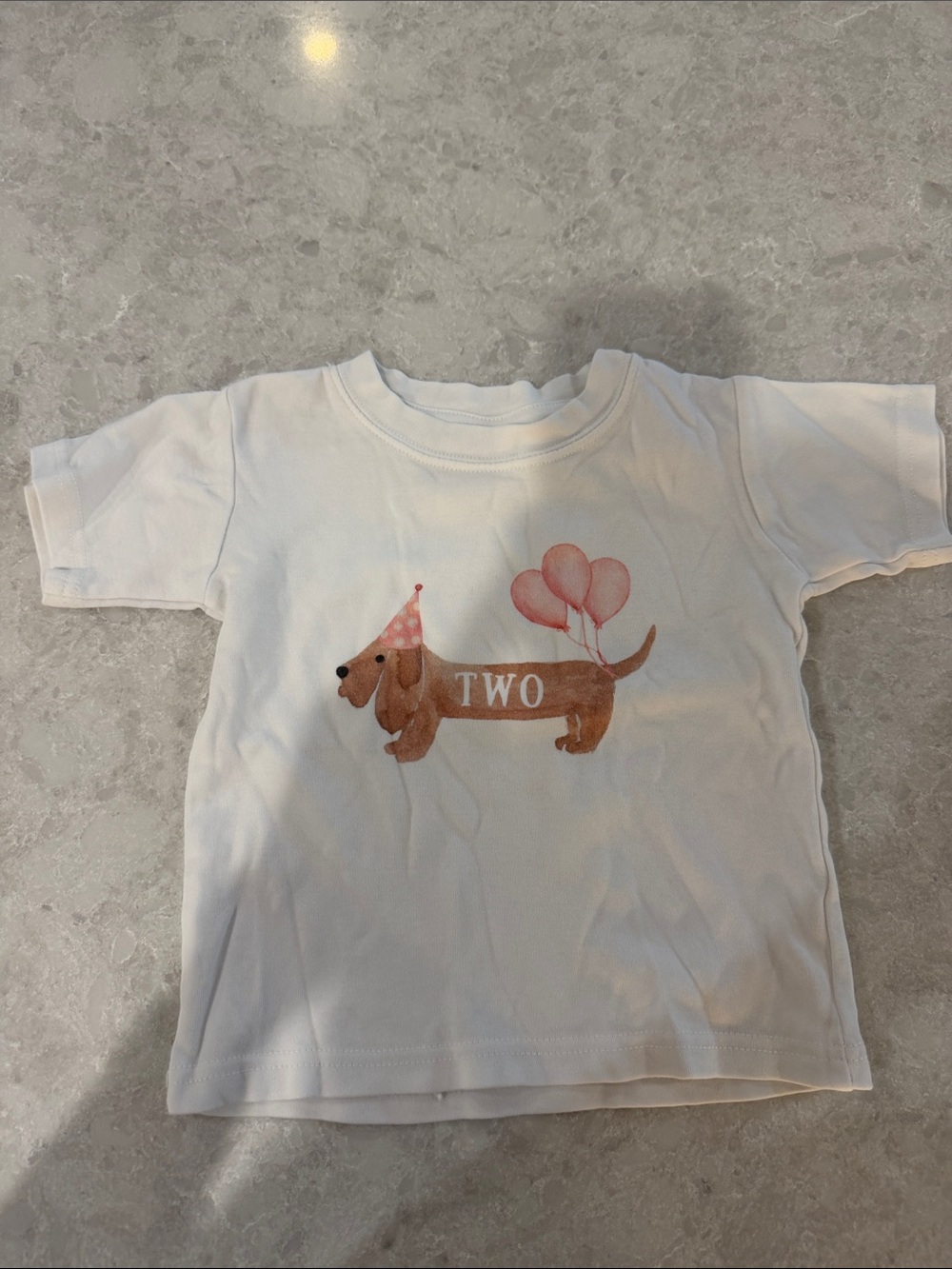 White Kids' 'Two' Dachshund Graphic Tee two (2) birthday
